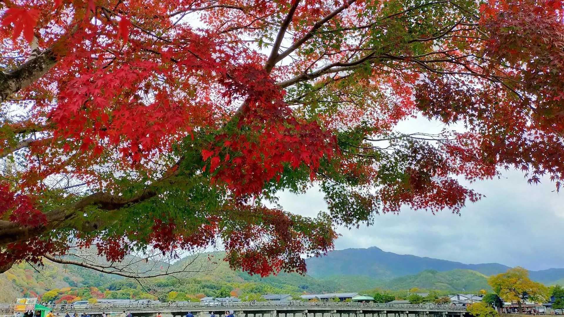 Kadensho, Arashiyama Onsen, Kyoto - Kyoritsu Resort
